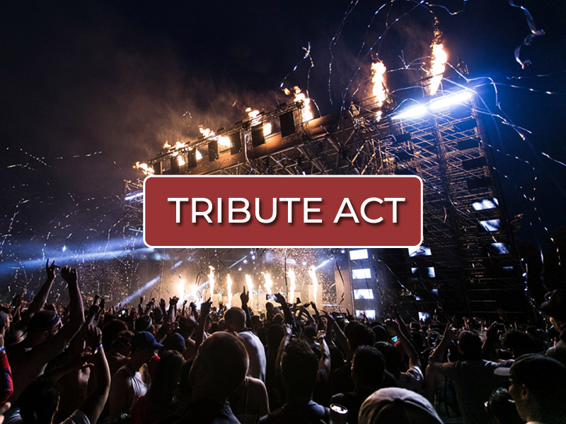 Hire a Professional Tribute Act with Melody Nights agency